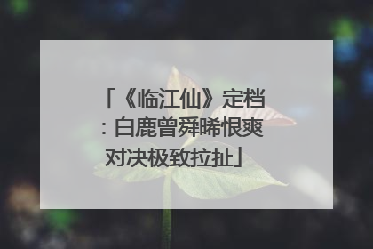 《临江仙》定档：白鹿曾舜晞恨爽对决极致拉扯