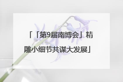 「第9届南博会」精雕小细节共谋大发展