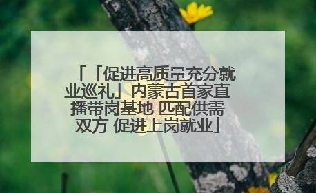 「促进高质量充分就业巡礼」内蒙古首家直播带岗基地 匹配供需双方 促进上岗就业