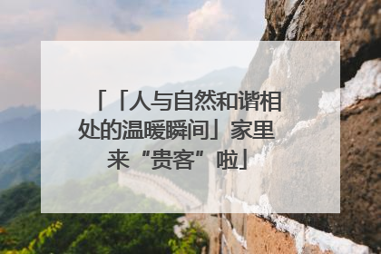 「人与自然和谐相处的温暖瞬间」家里来“贵客”啦