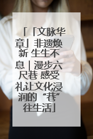 「文脉华章」非遗焕新 生生不息｜漫步六尺巷 感受礼让文化浸润的“巷”往生活