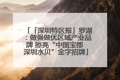 「深圳特区报」罗湖：做强做优区域产业品牌 擦亮“中国宝都 深圳水贝”金字招牌