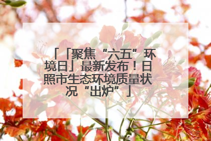 「聚焦“六五”环境日」最新发布！日照市生态环境质量状况“出炉”