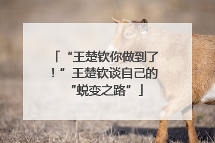 “王楚钦你做到了！”王楚钦谈自己的“蜕变之路”