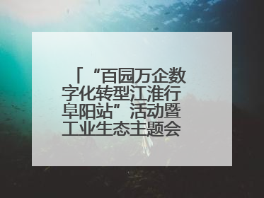 “百园万企数字化转型江淮行阜阳站”活动暨工业生态主题会议成功举办