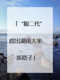 “粮二代”蹚出湖南大米新路子