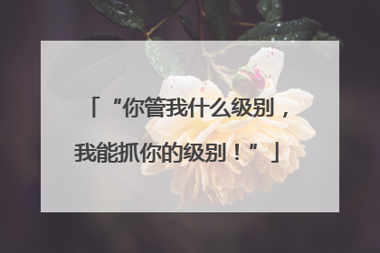 “你管我什么级别，我能抓你的级别！”