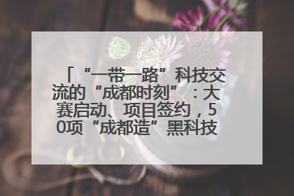 “一带一路”科技交流的“成都时刻”：大赛启动、项目签约，50项“成都造”黑科技吸引多国客商