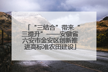 “三结合”带来“三提升”——安徽省六安市金安区创新推进高标准农田建设
