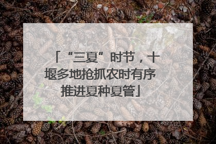 “三夏”时节，十堰多地抢抓农时有序推进夏种夏管