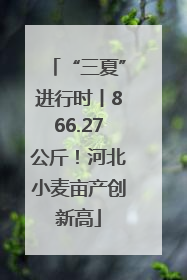 “三夏”进行时丨866.27公斤！河北小麦亩产创新高
