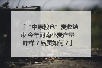 “中原粮仓”麦收结束 今年河南小麦产量咋样？品质如何？