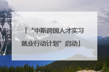 “中斯跨国人才实习就业行动计划”启动