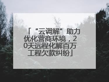 “云调解”助力优化营商环境，20天远程化解百万工程欠款纠纷