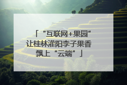 “互联网+果园”让桂林灌阳李子果香飘上“云端”