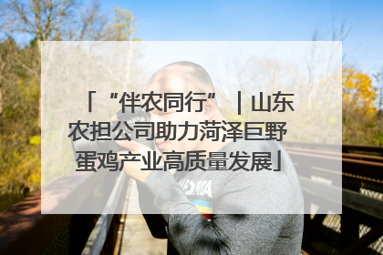 “伴农同行”｜山东农担公司助力菏泽巨野蛋鸡产业高质量发展