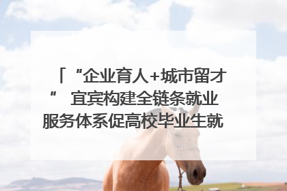 “企业育人+城市留才” 宜宾构建全链条就业服务体系促高校毕业生就业｜您牵挂的四川