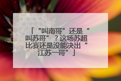 “叫南哥”还是“叫苏哥”？这场苏超比赛还是没能决出“江苏一哥”