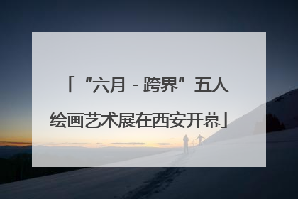 “六月 - 跨界”五人绘画艺术展在西安开幕