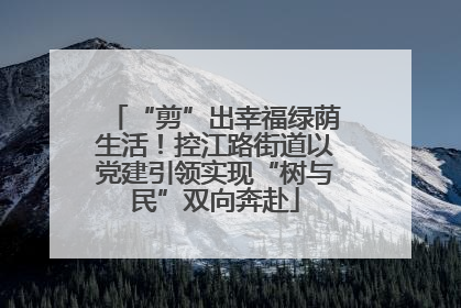 “剪”出幸福绿荫生活！控江路街道以党建引领实现“树与民”双向奔赴