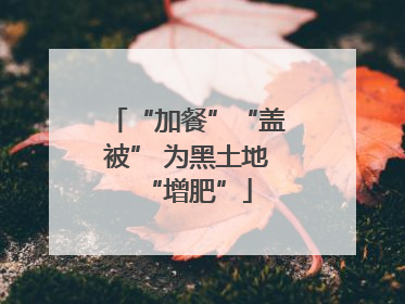 “加餐”“盖被” 为黑土地“增肥”