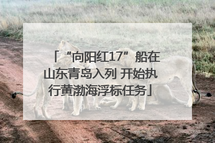 “向阳红17”船在山东青岛入列 开始执行黄渤海浮标任务