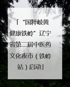 “国粹岐黄 健康铁岭”辽宁省第二届中医药文化夜市（铁岭站）启动
