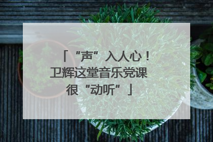“声”入人心！卫辉这堂音乐党课很“动听”