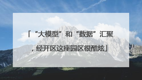 “大模型”和“数据”汇聚，经开区这座园区很酷炫