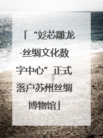 “彣芯雕龙·丝绸文化数字中心”正式落户苏州丝绸博物馆