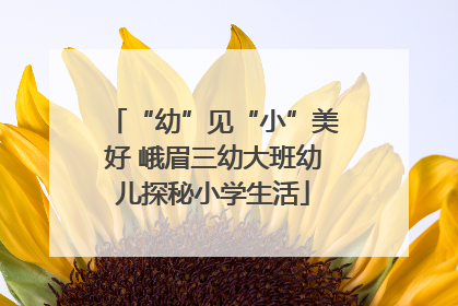 “幼”见“小”美好 峨眉三幼大班幼儿探秘小学生活