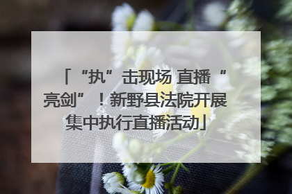 “执”击现场 直播“亮剑”！新野县法院开展集中执行直播活动