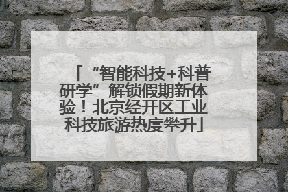“智能科技+科普研学”解锁假期新体验！北京经开区工业科技旅游热度攀升