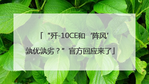 “歼-10CE和‘阵风’孰优孰劣？”官方回应来了