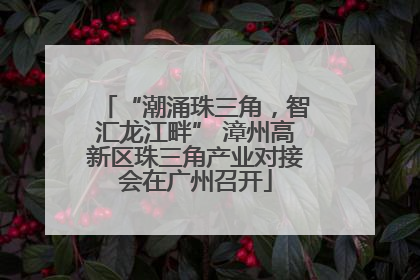 “潮涌珠三角，智汇龙江畔” 漳州高新区珠三角产业对接会在广州召开