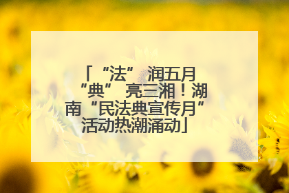 “法” 润五月 “典” 亮三湘！湖南“民法典宣传月”活动热潮涌动