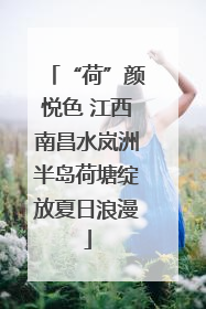 “荷”颜悦色 江西南昌水岚洲半岛荷塘绽放夏日浪漫