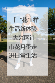 “花”样生活新体验 大兴区让市花月季走进日常生活