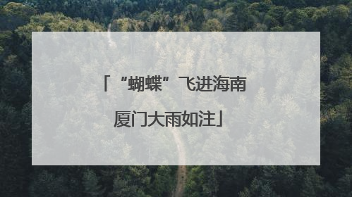 “蝴蝶”飞进海南 厦门大雨如注