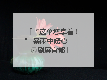 “这伞您拿着！” 暴雨中暖心一幕刷屏宜都