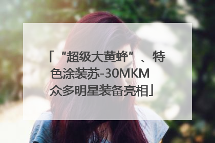 “超级大黄蜂”、特色涂装苏-30MKM 众多明星装备亮相