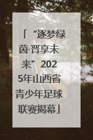 “逐梦绿茵·晋享未来”2025年山西省青少年足球联赛揭幕