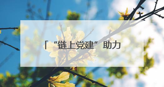 “链上党建”助力“链”上生辉——阜城县推动党建工作与产业发展深度融合