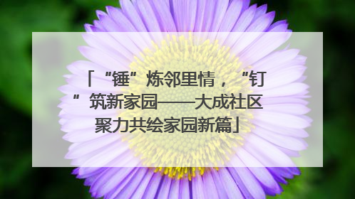 “锤”炼邻里情，“钉”筑新家园——大成社区聚力共绘家园新篇