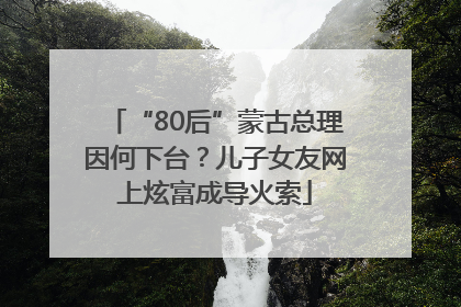 “80后”蒙古总理因何下台？儿子女友网上炫富成导火索