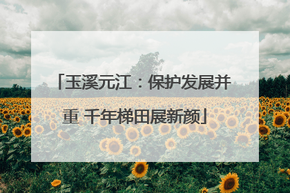 玉溪元江：保护发展并重 千年梯田展新颜