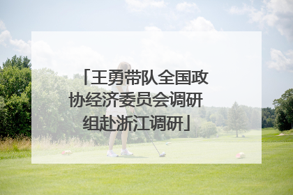 王勇带队全国政协经济委员会调研组赴浙江调研