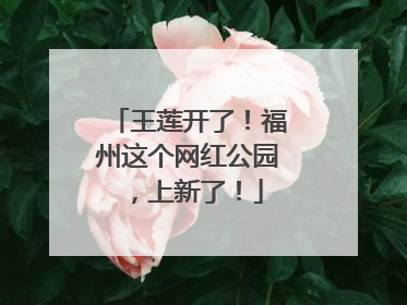 王莲开了！福州这个网红公园，上新了！