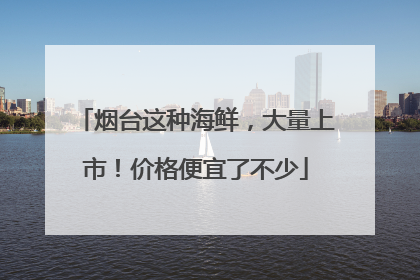 烟台这种海鲜，大量上市！价格便宜了不少