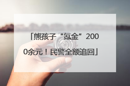 熊孩子“氪金”2000余元！民警全额追回